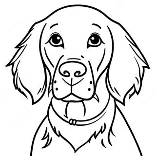 Trang To Mau Cho Irish Setter De Thuong 10707-273