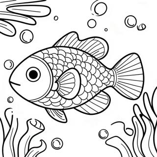 Trang To Mau Ca Cau Vong Lap Lanh Boi Loi 109007 45822