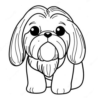 Chó Shih Tzu Tranh Tô Màu