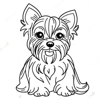 Chó Yorkie Thực Tế Tranh Tô Màu