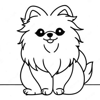 Chó Pomeranian Tranh Tô Màu