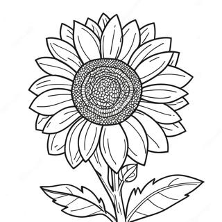 Trang To Mau Hoa Huong Duong Kansas Day Mau Sac 120273 55052