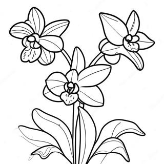 Trang To Mau Cac Loai Hoa Lan Ky La 120555 55275