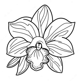 Trang To Mau Cac Loai Hoa Lan Ky La 120555 55276