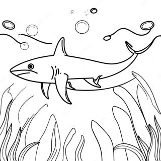 Trang To Mau Ve Ca Map Ho Hung Du Dang Boi 121166-55940