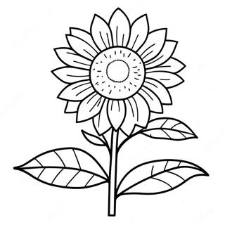 Trang To Mau Hoa Huong Duong Ruc Ro 126547-60247