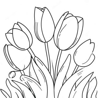 Trang To Mau Hoa Tulip Vui Tuoi Trong Vuon 126550-60257