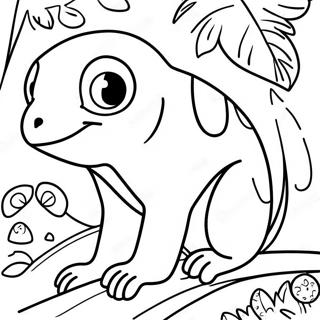 Trang To Mau Dong Vat Rung Mua Costa Rica 127065-60649