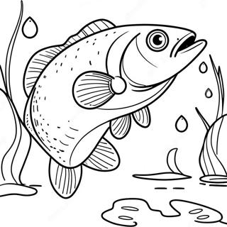 Trang Tô Màu Câu Cá Bass Tranh Tô Màu