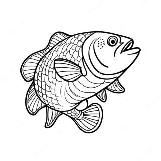 Trang Tô Màu Câu Cá Bass Tranh Tô Màu