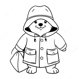 Paddington Tranh Tô Màu