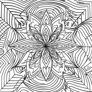 Trang To Mau Ao Giac Quang Hoc Hinh Hoc 74728 17977