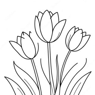Trang To Mau Hoa Tulip Nhieu Mau 75549-18610
