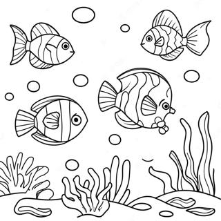 Chấm Trang tô màu