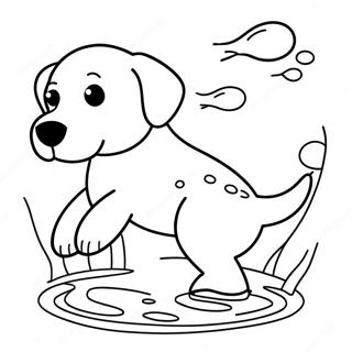 Labrador Trang tô màu