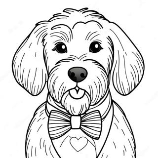 Chó Goldendoodle Trang tô màu
